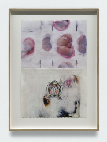 Jean-Charles de Quillacq, Tortue géniale, 2023, Hauser & Wirth