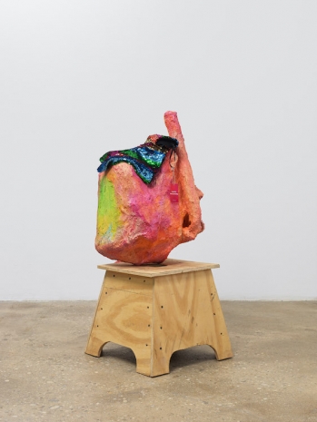 Rachel Harrison , Party Collection, 2025 , Regen Projects