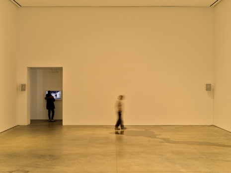 Dominique Gonzalez-Foerster, Zone, 2026 , 303 Gallery