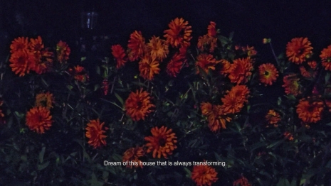 Dominique Gonzalez-Foerster, Meteorium III, 2026 , 303 Gallery