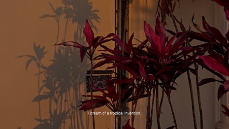 Dominique Gonzalez-Foerster, Meteorium III, 2026 , 303 Gallery