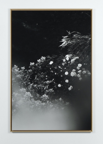 Anna Kereszty , The garden, 2026, Mennour