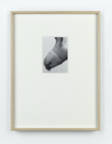 Anna Kereszty , Zoom, 2026 , Mennour