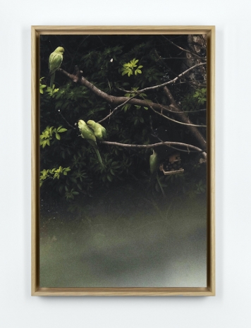 Anna Kereszty , Affection, 2026, Mennour