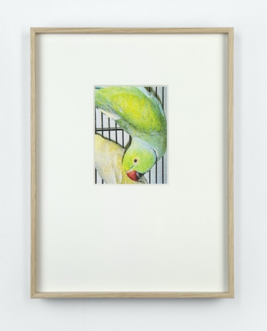 Anna Kereszty , Caged, 2026 , Mennour