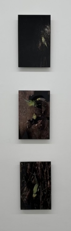 Anna Kereszty , Variations, 2026, Mennour