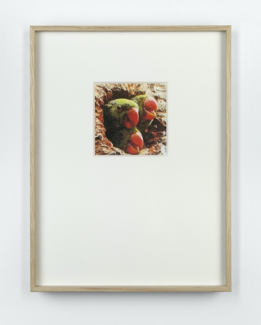 Anna Kereszty , Nest, 2026 , Mennour