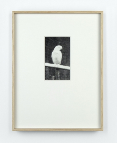 Anna Kereszty , Waiting, 2026 , Mennour