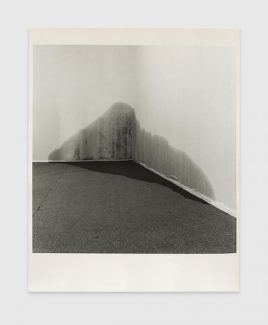 Koji Enokura, Quality of Wetness, 1974, David Zwirner