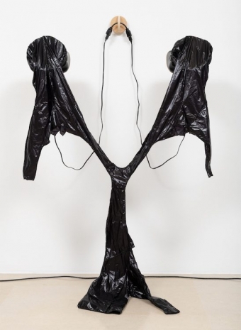 Paul Chan, Tokener Stasis, 2025 , Greene Naftali