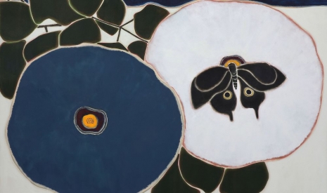 Susumu Kamijo, , , Perrotin