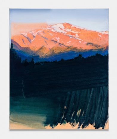 Christiane Pooley, Conguillío, 2024, Perrotin