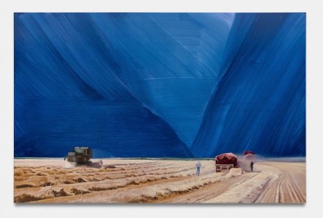 Christiane Pooley, Field, 2026, Perrotin
