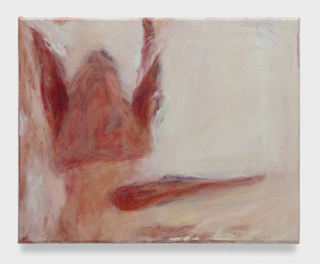 Luciana Maas , Deitado, 2026 , Andrew Kreps Gallery