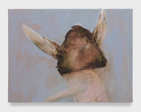 Luciana Maas , Capim, 2026 , Andrew Kreps Gallery