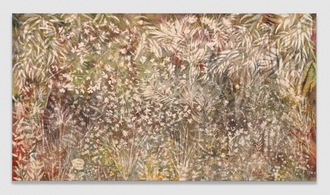 Sam Falls, Sun Through Rain, 2026 , 303 Gallery