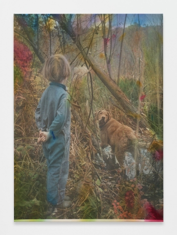Sam Falls, Fernweh (Nel Bosco), 2026 , 303 Gallery