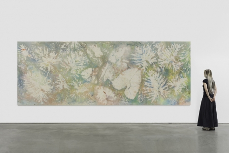 Sam Falls, Heaven, 2026 , 303 Gallery