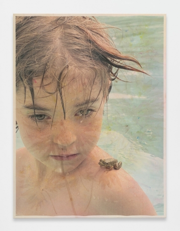 Sam Falls, Heart and Lungs, 2026 , 303 Gallery