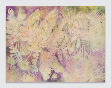 Sam Falls, Dreamwork, 2026 , 303 Gallery