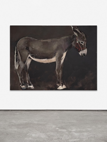 Mikael Lo Presti, , , STANDARD (OSLO)