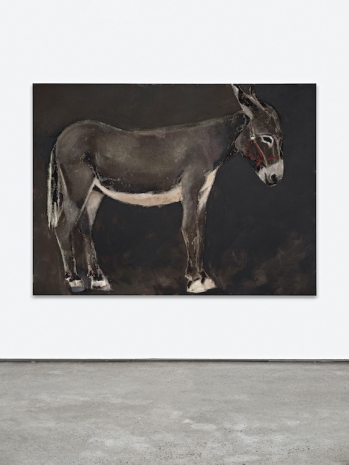 Mikael Lo Presti, Donkey, 2026 , STANDARD (OSLO)