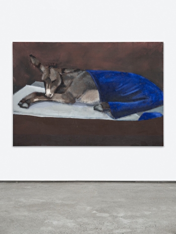 Mikael Lo Presti, Donkey sleeping, 2026 , STANDARD (OSLO)