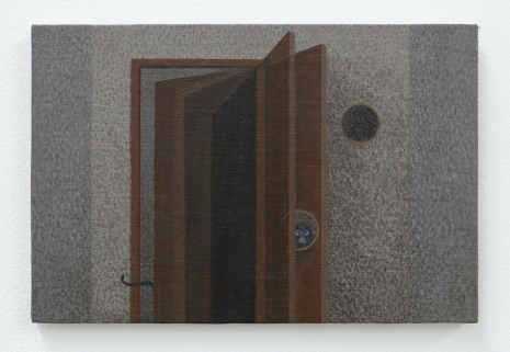 Raúl Rueda, Reflejo peludo, reflejo menguante, 2026 , Galerie Nordenhake