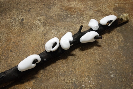 Maria Roosen, Winter, 2010 , AKINCI