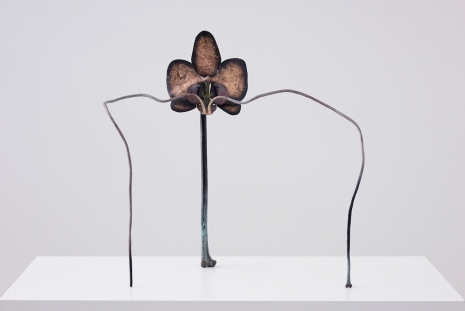 Grace Schwindt , Orchid, 2021 , Galerie Peter Kilchmann