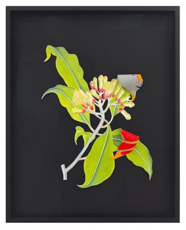 Ishita Chakraborty , Where The Wild Things Roam XXIII, Clove III, 2026 , Galerie Peter Kilchmann