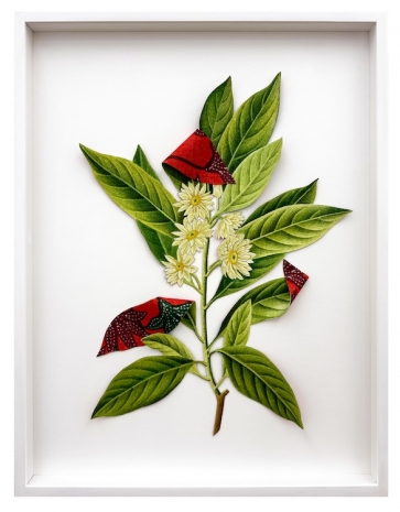 Ishita Chakraborty , Where The Wild Things Roam XXXI, Staranise II, 2026 , Galerie Peter Kilchmann