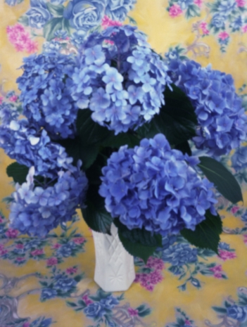 Roe Ethridge , Hydrangeas, 1995/2026 , Anton Kern Gallery