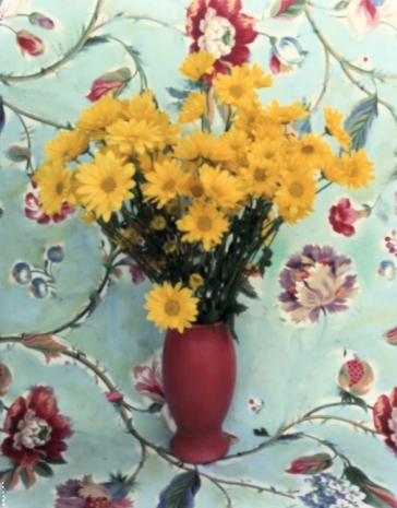 Roe Ethridge , Daisies (Red Vase), 1997/2026 , Anton Kern Gallery