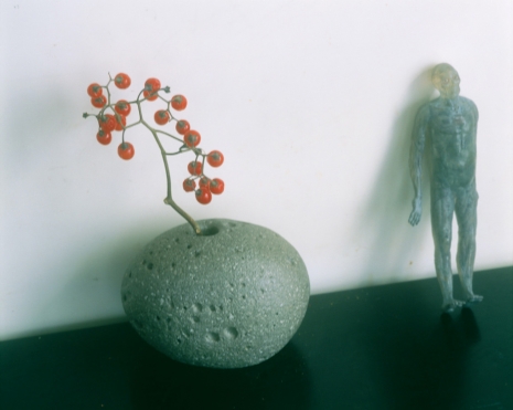 Nobuyoshi Araki , Untitled (Flower Cemetery), 2017 , Anton Kern Gallery