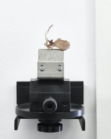 Grant Mooney, Eutectic c. (i), 2020 , Sylvia Kouvali