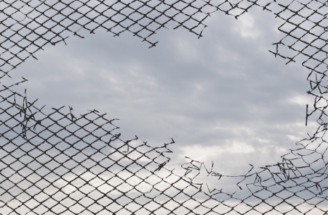 Michel François , Fence, 2026 , Art : Concept