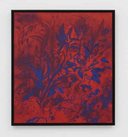 Alia Ahmad, Adenium Obesum | العدنھ, 2026, White Cube