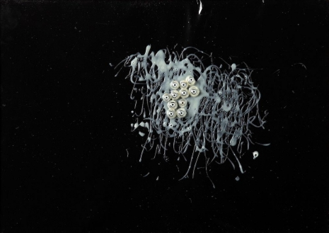 Carol Rama, Untitled, 1968 , Hauser & Wirth