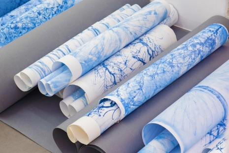 Marie Denis, Les Estampes, Bleu carbone, 2026, Galerie Alberta Pane