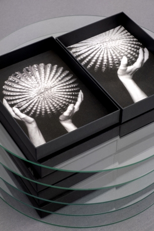 Marie Denis, Les Pépites noires, 2026, Galerie Alberta Pane