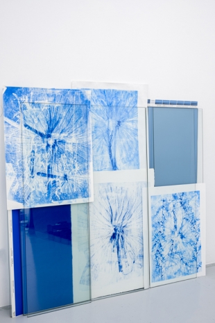 Marie Denis, Pantone Bleu, 2026, Galerie Alberta Pane