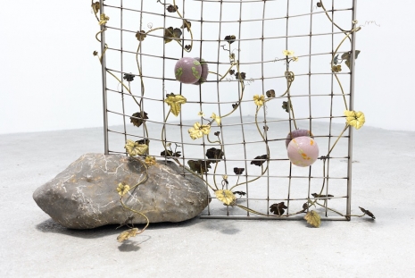 Gabriel Rico, Pink Pumpkin from the series - This Bitter Earth, 2026 , Perrotin