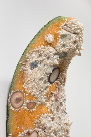 Kathleen Ryan, Bad Melon (Fantasy), 2026, Gagosian