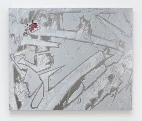 James Miller, Loosh Net, 2026 , Anton Kern Gallery