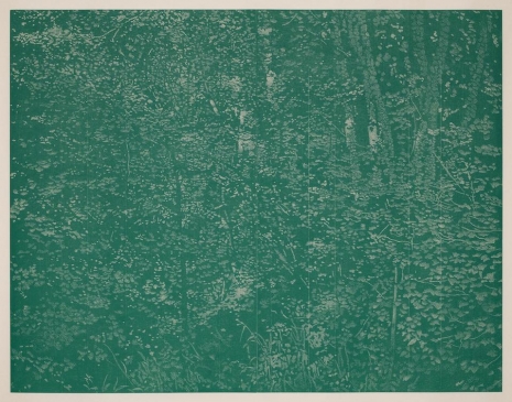 Franz Gertsch , Sommer I, 2016-2017 , SKOPIA