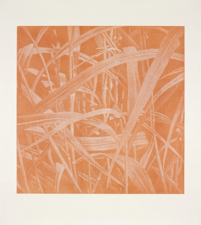 Franz Gertsch , Gräser II, 2004 , SKOPIA