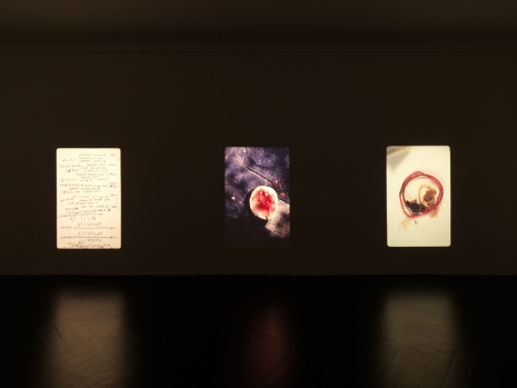 Yuji Agematsu, Marseille 1994, 2026, Galerie Buchholz