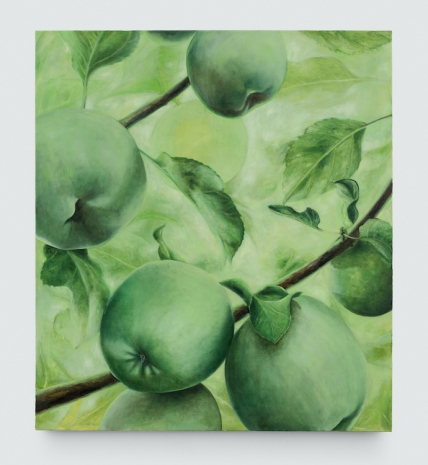 Amedeo Polazzo, Verde età, 2026 , Herald St