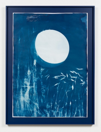 Tue Greenfort, Tue Greenfort Sun field - plant community, I, 2022 , KÖNIG GALERIE